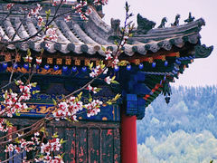 -五台山风景区