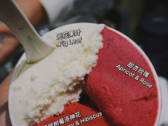 -Dip in Gelato(富民路店)
