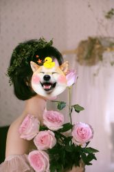 -WAVE SODA摄影工作室