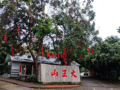 -清溪大王山森林公园