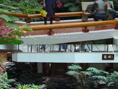 -广州白天鹅宾馆