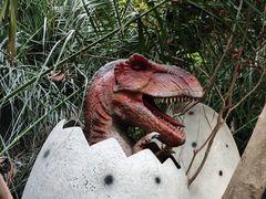 -呀路古热带植物园