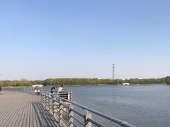 -大兴滨河森林公园