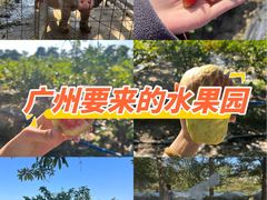 -新塘水果乐园(东洲大道店)