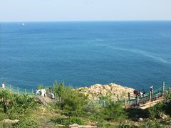-广东惠东海龟国家级自然保护区