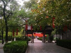 -大槐树寻根祭祖园