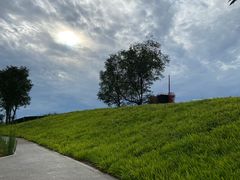 -白鹭湾湿地公园