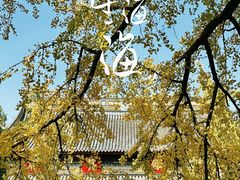 -西园戒幢律寺