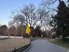 -丰台花园