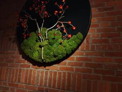 -鸽子窝(宋庄店)