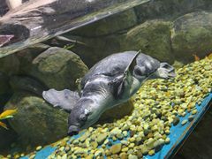 -苏州海洋馆