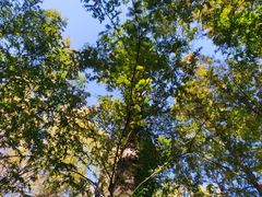 -国家植物园南园