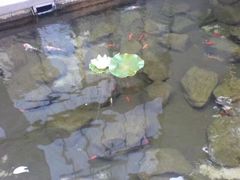 -泉乐坊步行街(烟酒特产平价超市店)