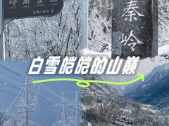 -秦岭风景区