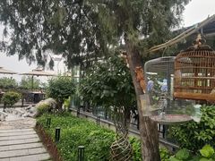 -蘇河湾·新鲁菜·泰山宴(泰山店)
