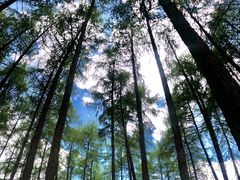 -硗碛藏寨·神木垒景区