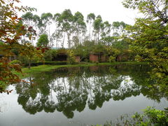 -林丰温泉度假山庄