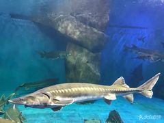 -多彩贵州城极地海洋世界