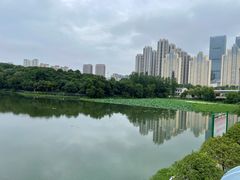 -月湖风景区