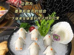 -湊湊火锅·茶憩(石家庄万象城店)