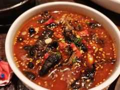 -铁公鸡·四川料理(天环广场店)