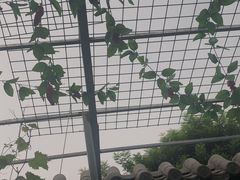 -伊隆斋(什刹海店)