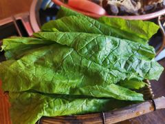 生菜-阿婆情腊排骨火锅(饮玉巷店)