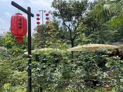 -青城甲(青城山店)