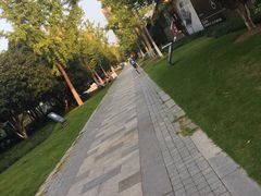 -杭州城北体育公园