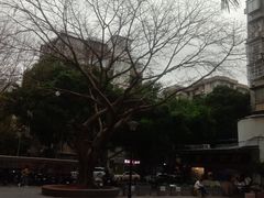 -紫金食坊(江南西路店)