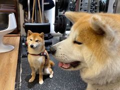 -YCHL Studios健身工作室(市二宫店)