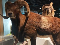 -陕西自然博物馆