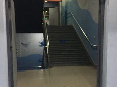 -杭州长乔极地海洋公园