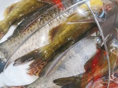 -野渡坡·极致湘菜·庭院餐厅(汉阳店)