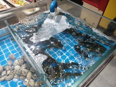 -汉釜宫韩式自助烤肉(喜盈门范城购物中心店)