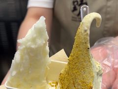 -野人先生现做冰淇淋(西安赛格店)