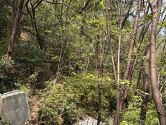 -南岳衡山风景名胜区