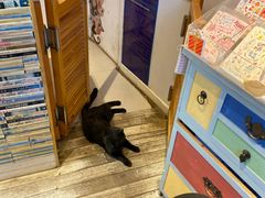 -猫的天空之城概念书店(丽江古城饮玉巷店)