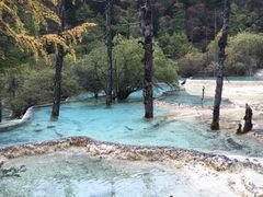 -黄龙山原始森林景区