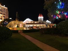 -青岛海景花园大酒店·白果树餐厅青岛菜