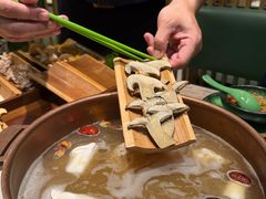 -聚汇坊椰子鸡·山野菌(环市东店)