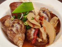 -黑松白鹿(金融街店)