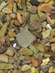 -钓虾工场·钓虾·赶海(回龙观店)