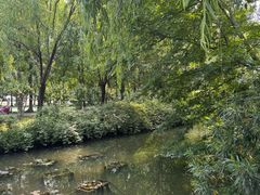 -洛阳市隋唐城遗址植物园