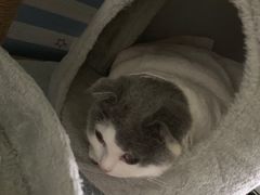 -美联众合动物医院·24h转诊中心