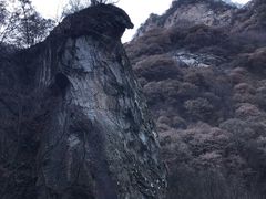 -少华山国家森林公园