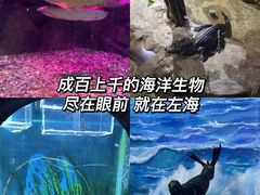 -左海海底世界