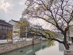 -青果巷历史文化街区