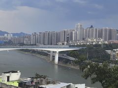 -李子坝梁山鸡(李子坝大鸡哥店)