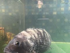 -苏雅经典名食(国际海水浴场店)